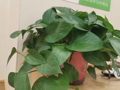 -德克士(志丹店)