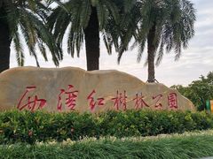 -宝安西湾红树林湿地公园
