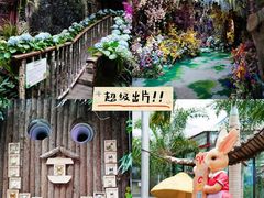 -正佳雨林生态植物园