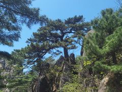 -黄山风景区