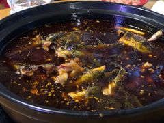 三角枫-金海椒罐罐鲢鱼(东方桂苑店)