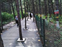 -帽儿山国家森林公园