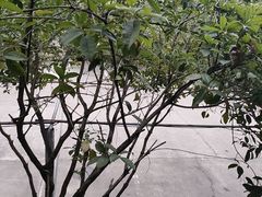 -故乡缘·香格里拉山庄(冷竹路店)