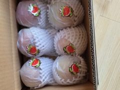 -叁宫礼水果批发仓储店(梅江店)