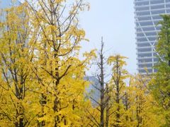 -百林公园-两江幸福广场