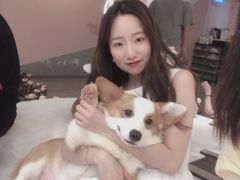 -浣熊柯尔鸭土拨鼠·电玩咖