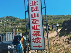 -灵山
