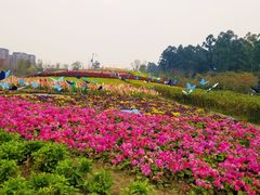 -天府芙蓉园