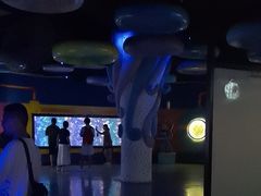 -烟台海昌鲸鲨海洋公园