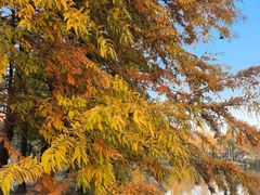 -浙江农林大学(东湖校区)