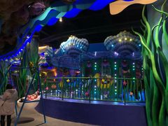 -青岛嘉年华主题乐园