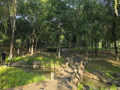 -西安浐灞国家湿地公园