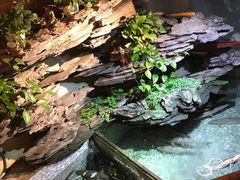 -山水茶艺馆·点心粤菜·30年老字号