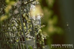 点击看大图 -豪门婚礼策划