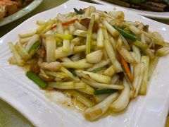 -鸿达渔港