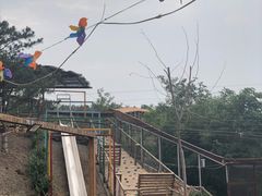-欢乐松鼠谷