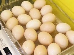 -Orenda健身工作室(平山店)