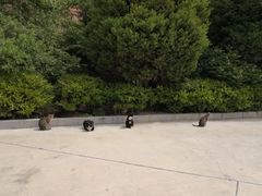 -炳灵寺世界文化遗产旅游区