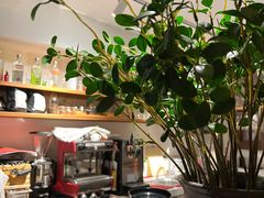 -明星酒店•FORNETTO佛纳朵意餐厅•披萨•意面(湘隆时代广场店)