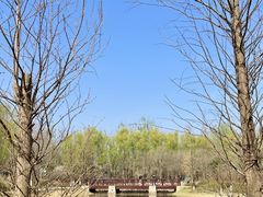-翠湖国家城市湿地公园