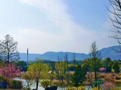 -雅达·阳羡溪山小镇中心
