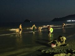 -西涌国际滨海旅游区