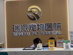 -瑞派康怡24h宠物医院·犬猫医疗中心·微创绝育(瑞景分院)