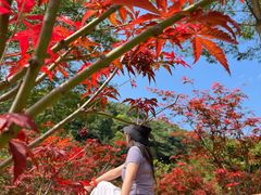-广州市帽峰山景区