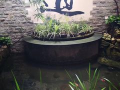 -白鹭原茶艺馆