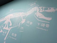 -斯坦星球AI编程·机器人科创·乐高科学·信奥·思维·专注力·STEM·竞赛考级(高新区绿宝广场龙湖狮山天街学习中心)