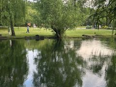 -上海共青森林公园