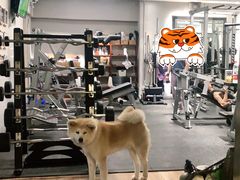 -YCHL Studios健身工作室(市二宫店)