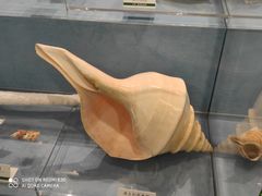 -浙江自然博物院(杭州馆)