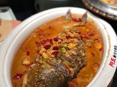 -阿五黄河大鲤鱼(英协路店)