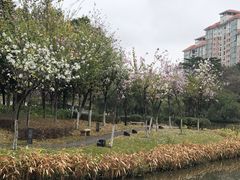 -映月湖公园