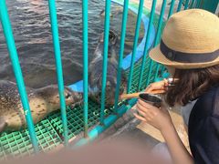 -北戴河圣蓝海洋公园