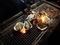 -美的鹭湖森林度假区