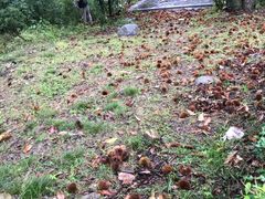 -丹东市五龙山风景区