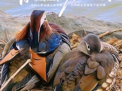 -颐和园