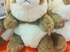 -熊猫邮局(少城店)