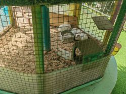 -萌宠亲子动物乐园(槐房万达店)