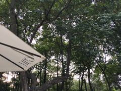 -也枫·小黄楼(南山路旗舰店)
