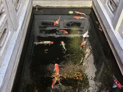 -鲤院·新中式美学·庭院餐厅(夫子庙店)