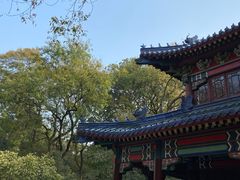 -灵谷景区