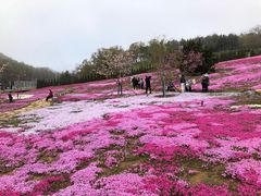 -棒棰岛宾馆景区