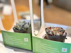 -四季餐厅·新津菜(环湖中路店)