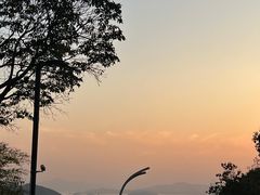-黄贤森林公园
