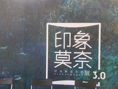 -印象莫奈时光映迹艺术展