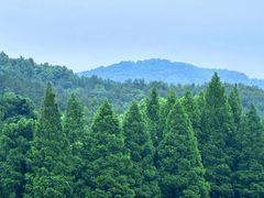 -东钱湖旅游度假区