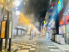 -宝健路步行街(Pedestrian Shopping Street)
